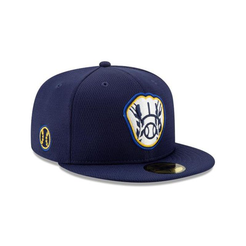 MLB Milwaukee Brewers Batting Practice 59Fifty Fitted (RPL5942) - Blue New Era Caps